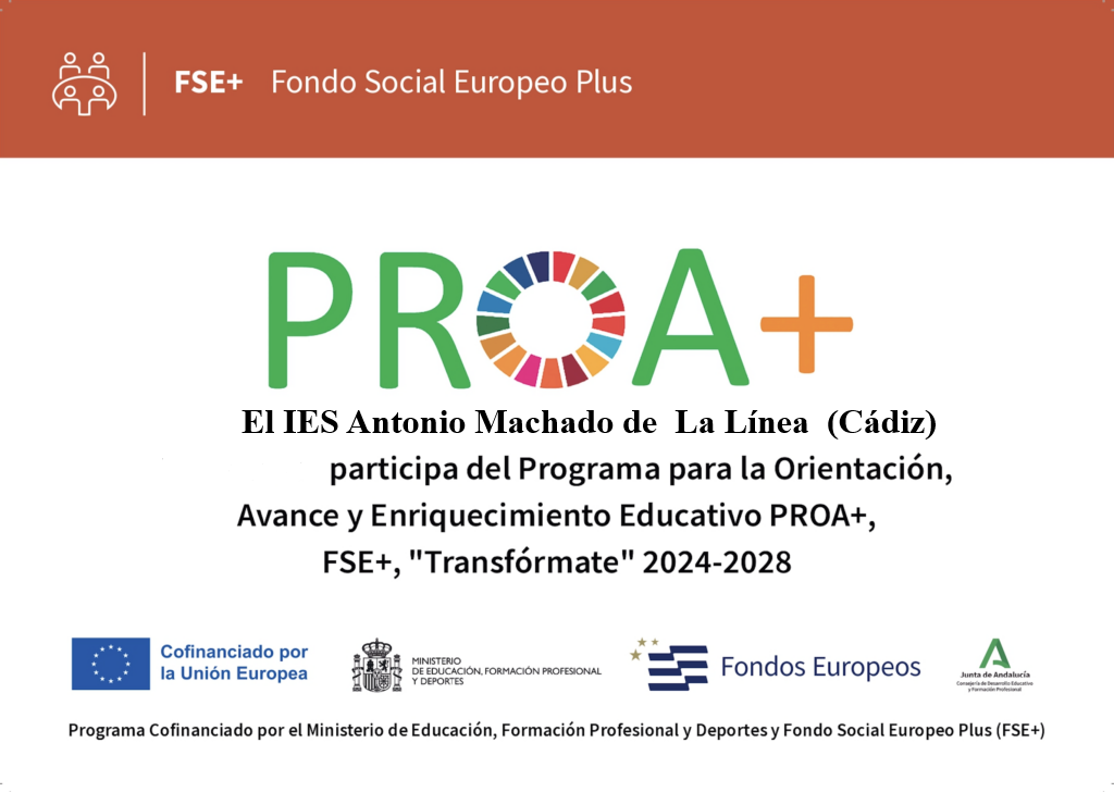 Imagen de la noticia: PROA + TRANSFÓRMATE 2024_2028